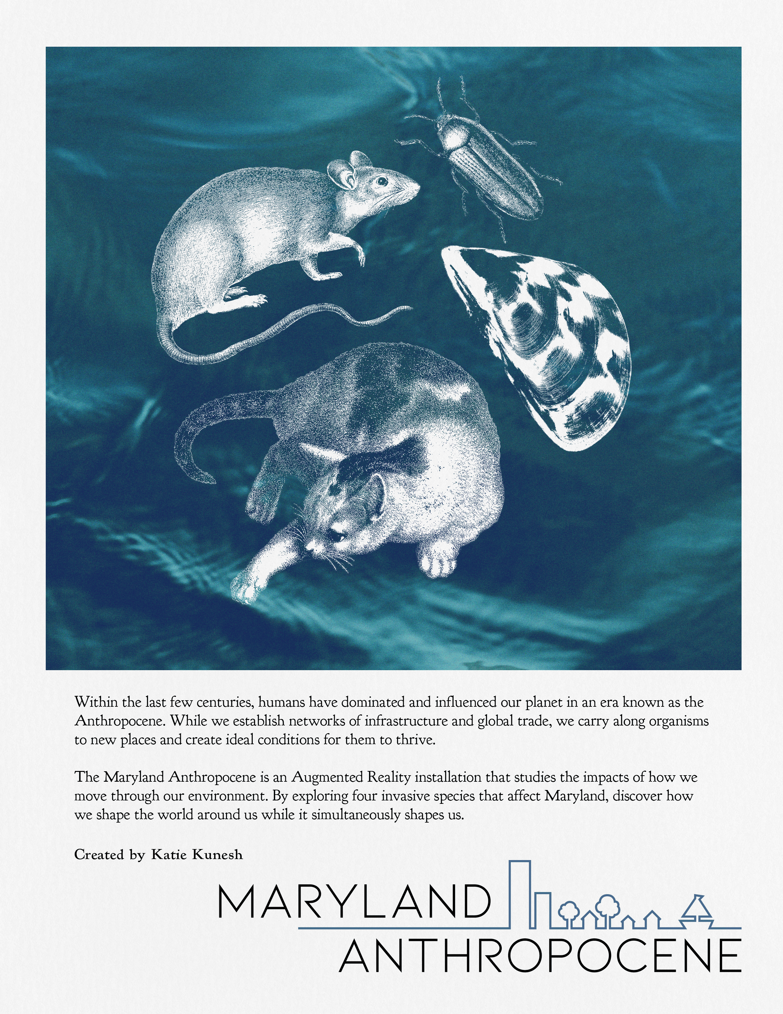 Image: Logo and poster design